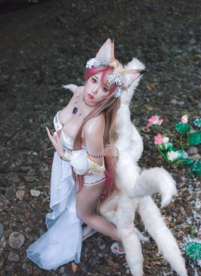 猫咪视频完整版高清_HD720韩语DVD国语在线观看