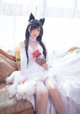 黄片网站在线看_免费国语免费观看电视剧